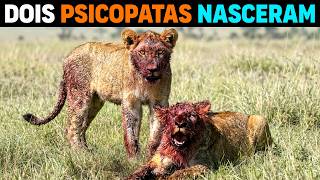 2 jovens leões DEVORAVAM OS FILHOTES do bando e NINGUÉM SABIA