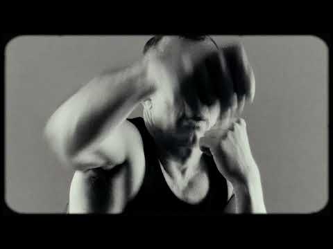 The Hidden Cameras - Brontosaurus Law (Brezel Göring Remix)