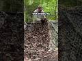 Become invisible! #camo #bushcraft #shelter #tent #tarp #camping  #hide #nature #camouflage #stealth