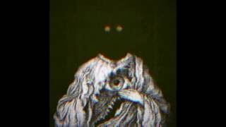 Panopticon - I Wanna Be Your Dog (Stooges Cover)