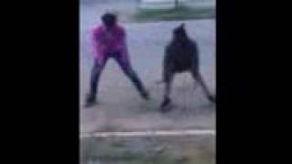 Ape shit dance Lil Louwop