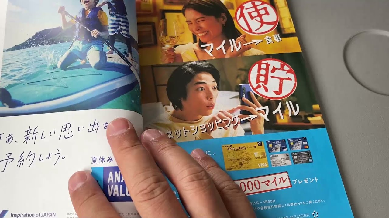 All Nippon Airways ANA Signet