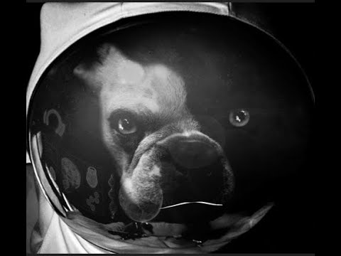 Alien Frequenz Pandemonium | Tekno Vinyl Mix | FKY, Okupe, Crystal Distortion, Teknambul TKNB