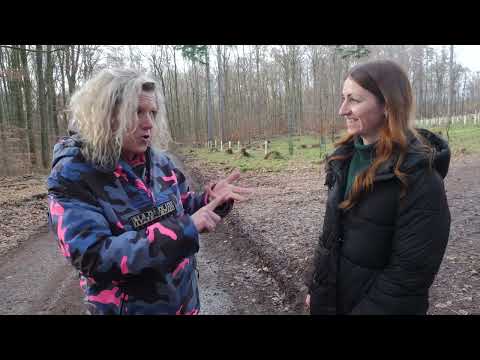 Der Dog Coach Folge 9 - Wie leitet man Hundekontakt an?