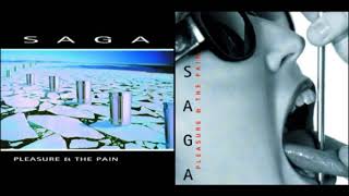 Saga 1997 (a) Pleasure &amp; the Pain (2017 fan re-EQ)
