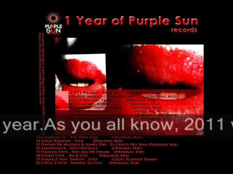 Various Artists - 1 Year of Purple Sun Records - OUT NOW