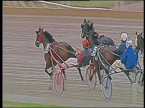 Trotto 18/09/2016 - 4ª corsa