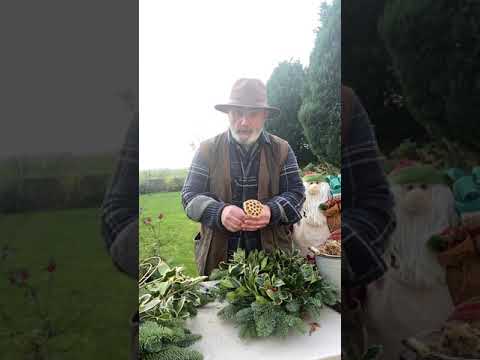 How to make a holly wreath