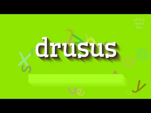 DRUSUS - HOW TO PRONOUNCE DRUSUS? #drusus