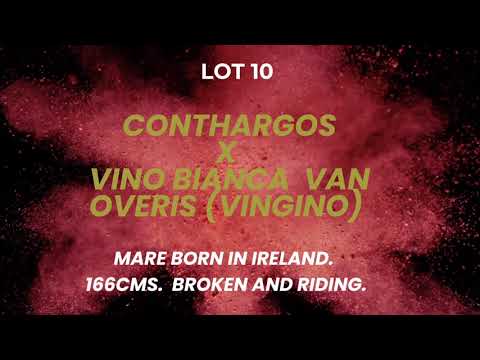 Lot 10. Conthargos x Vino Bianco van Overis (Vingino)