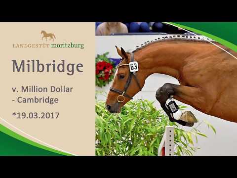MILBRIDGE v. Million Dollar - Cambridge