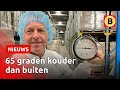 Dit is nu het koudste plekje van Brabant | Omroep Brabant