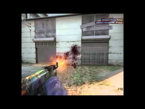 Donson vivla ace - global life