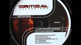 Vector Burn - Not Promised Tomorrow