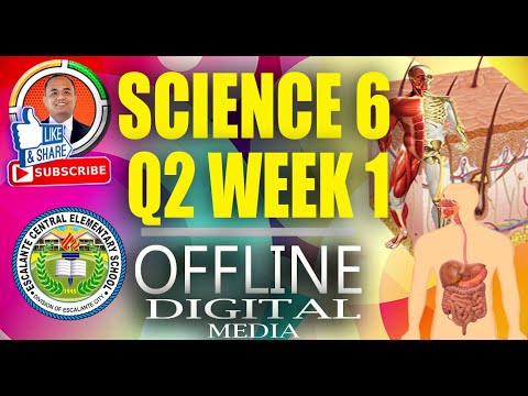 Quarter 2 Week 1 Science 6: Skeletal, Integumentary and Digestive System