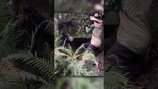 Ele encontrou um valor indescritível do tesouro preso no buraco da parede escondido