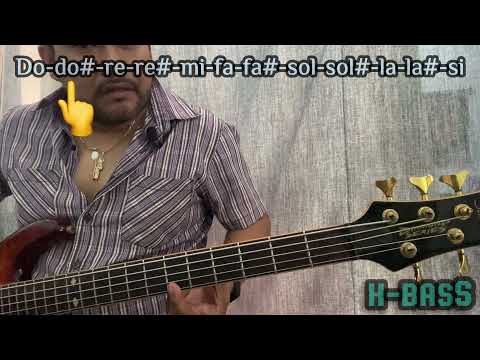 Learn the tones on the 5-string electric bass easily for beginners, which tone each string has.
