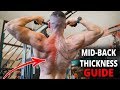 Build A Bigger Middle Back (Bodyweight & Weights)