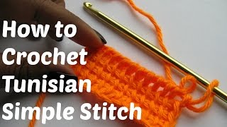 How To Crochet - Tunisian Simple Stitch (TSS) Crochet Stitch