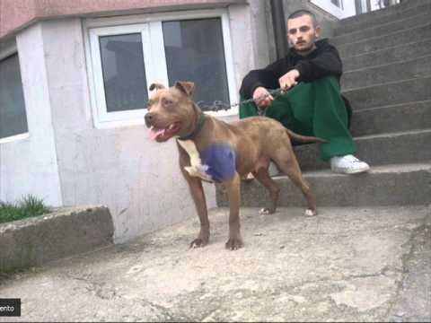 b'Toon & iCe-b (Crowns) - Sju Lojm Ven