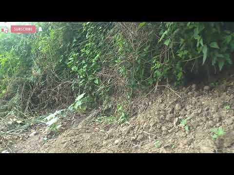 rio la rivera platón Sánchez Veracruz .