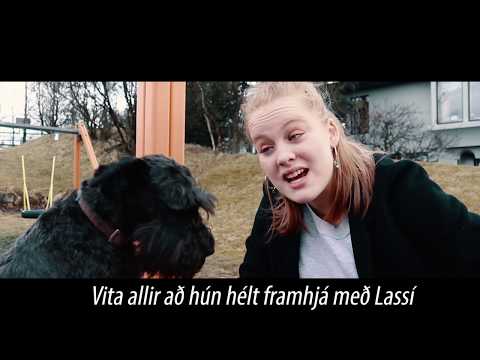 Rjóminn - Hundurinn minn er fáviti (Sámur Diss track)