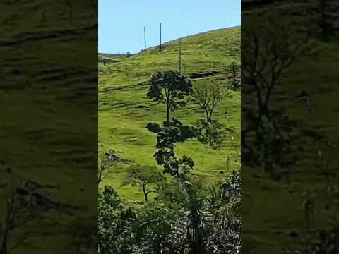 Bela Natureza Do 100 Alqueires Destrito De Barbosa Ferraz PR