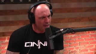 Joe Rogan and Henry Rollins on fat shaming