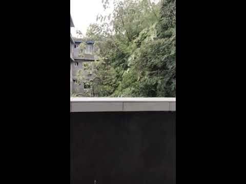 A random conversation between a Clarinet and Fuzhou