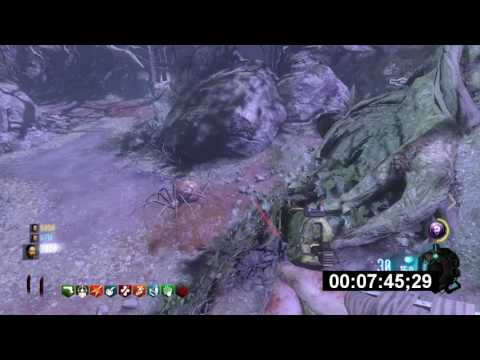 [BO3] *WORLD RECORD* SPEED RUN ZNS 3 Players (35min 55sec)