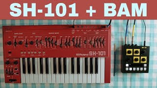 Video thumbnail for ROLAND SH-101 + OTO MACHINES BAM ~ Will They Pair? Ep.18 by once upon a synth