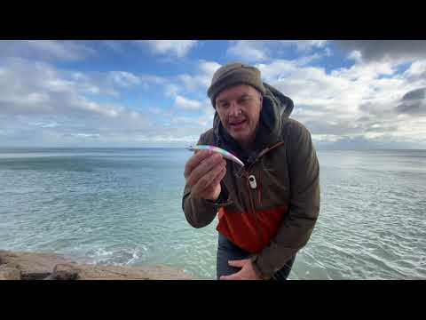 Havbarsfiskeri med wobler og jig