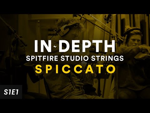 "IN DEPTH" Walkthrough: Spitfire Studio Strings Professional (Spiccato)