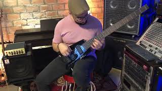 Video thumbnail for Steinberger Spirit XT-25 Demo by Alex Willik