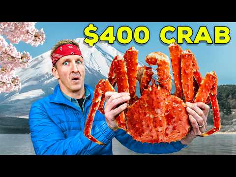 Japan's $30 Crab vs $400 Crab!! (Rare Seafood Species)