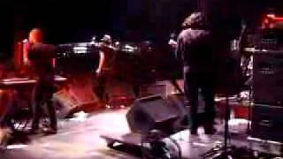 Maximo Park - Live at Reading Festival