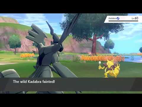 Zekrom's Bolt Strike and Reshiram's Blue Flare