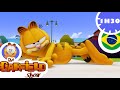 Os Melhores Episódios Do Garfield Nova Seleção