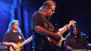 Walter Trout - The Reason I'm Gone, Stockholm, 090428