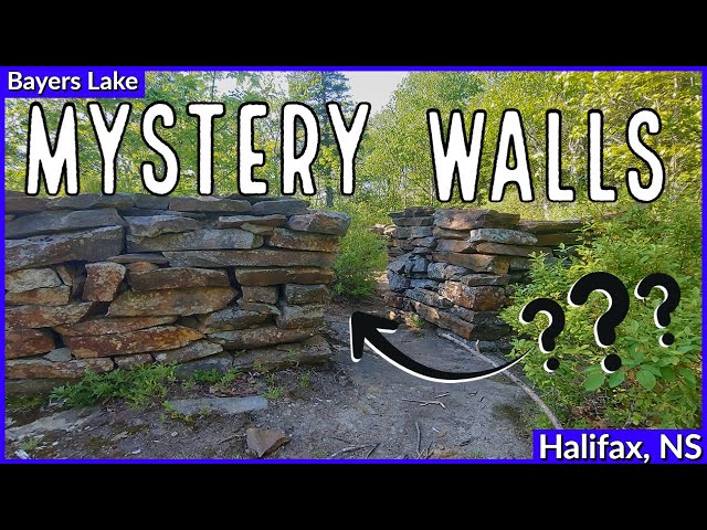 Trail Video Preview