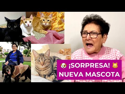 ¡SORPRESA! NUEVA MASCOTA EN LA CASA DE LA ABUELA NORMA 🤩😱😍