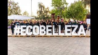 We are NGO Te Protejo 🐇💚