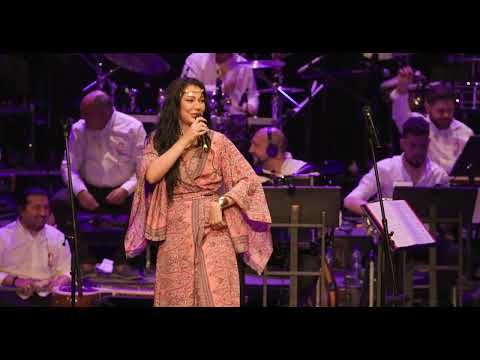 ROMA: THE FORCE OF NATURE - MAHALA BARVALI (LIVE 2022)