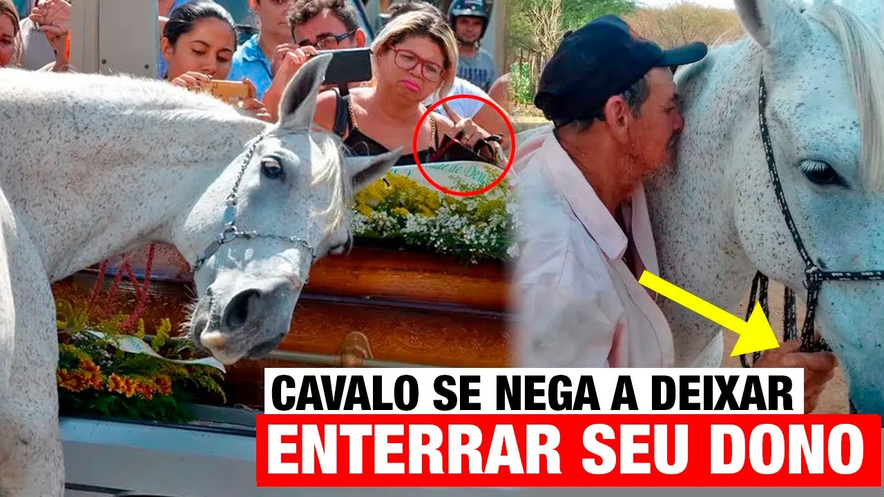 Cavalo NÃO DEIXOU que enterrassem seu dono. Então decidiram ABRIR O CAIXÃO e levaram o MAIOR SUSTO.
