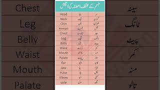 Download lagu Human Body Parts Names in English & Urdu | جسم کے مختلف اعضاء کے نام mp3 Download lagu Human Body Parts Names in English & Urdu | جسم کے مختلف اعضاء کے نام mp3