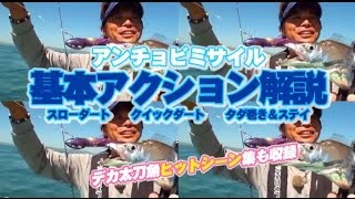 How to Move ANCHOVY MISSILE and Hit Scene Collection-JACKALL-Ship Tachio