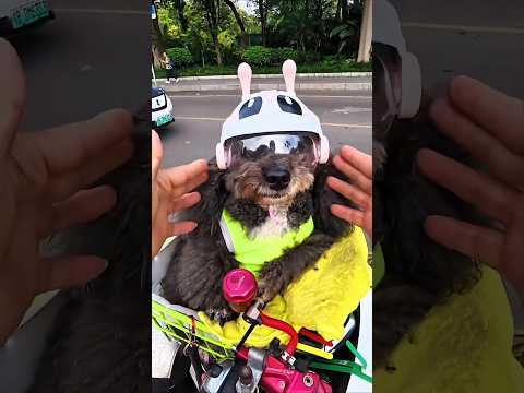 ¡Los Cascos Más Lindos Para Salir de Paseo! 😱