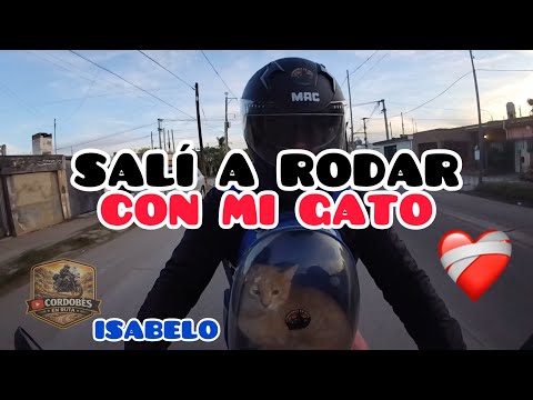 🐱🏍️ MOTOVLOG DISTINTO POR LAS CALLES DE CÓRDOBA 🏙️