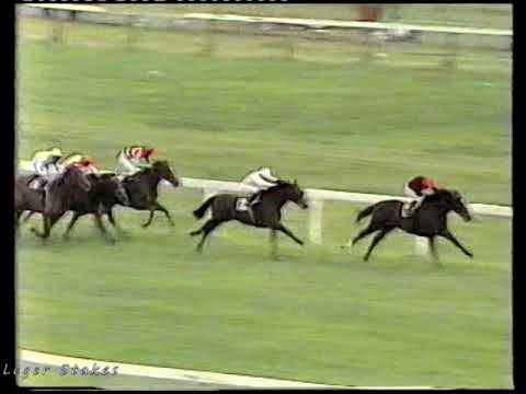 1980 St Leger Light Cavalry