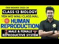 Class 12 Biology | Human Reproduction | Male Reproductive System | Female Reproductive System